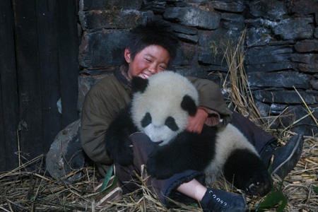 Trail of the Panda