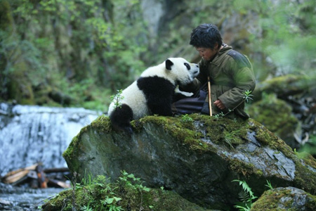 Trail of the Panda