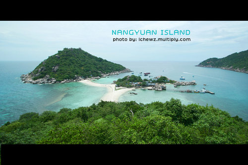 เกาะนางยวน