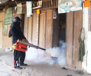 ชิคุนกุนยา ยุงลาย