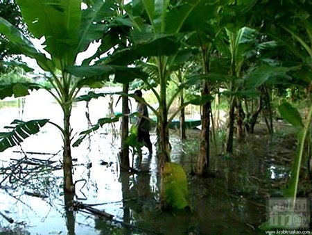 น้ำท่วม