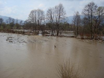 น้ำท่วม