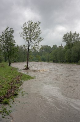 น้ำท่วม