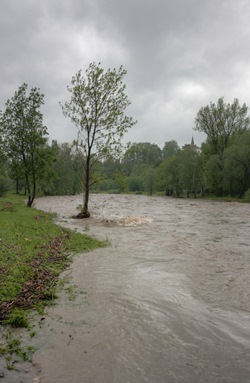 น้ำท่วม