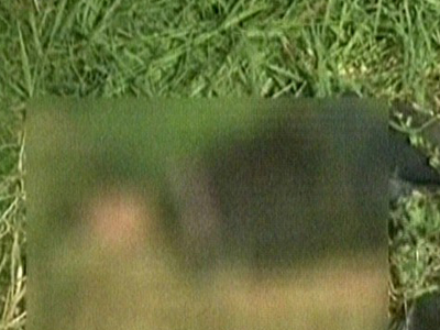 โจ๊ก คนร้าย ยิงน้องโตมี่