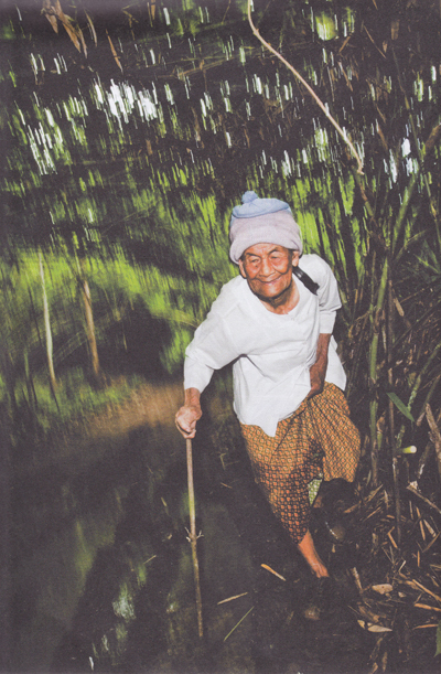 ย่ายิ้ม...หญิงชรา กับชีวิตลำพังกลางป่าเขา