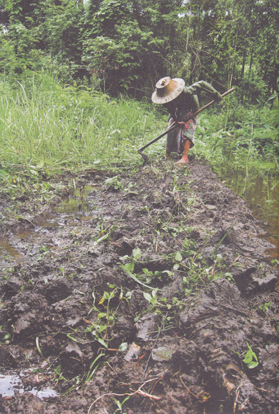 ย่ายิ้ม...หญิงชรา กับชีวิตลำพังกลางป่าเขา