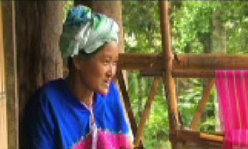 หมอแสงเดือน