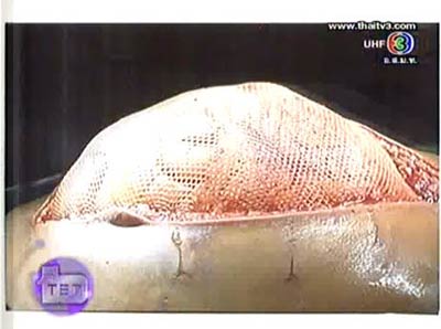 ลินดา พิริยะปัญญาพร