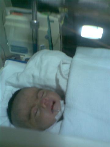 น้องโมเน่ต์