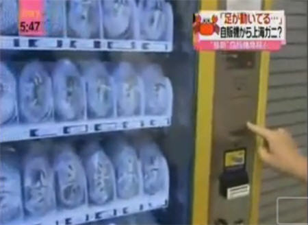 ตู้กดปู