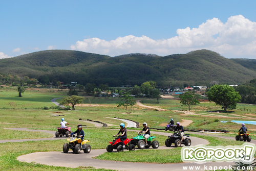 พริกไทย พริกไทย