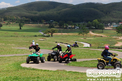 พริกไทย พริกไทย