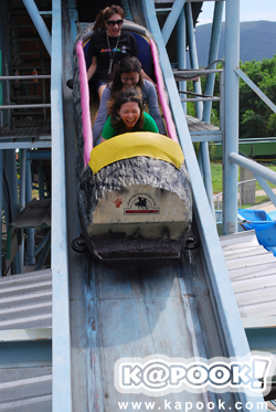 พริกไทย พริกไทย