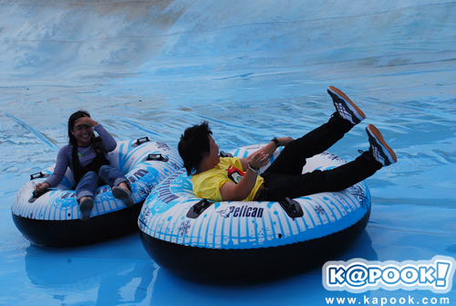 พริกไทย พริกไทย