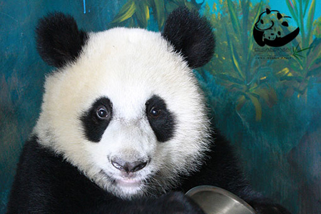 หลินปิง