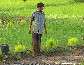 ตุ๊หล่าง แก่นคำหล้า พิลาน้อย