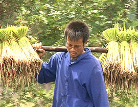 ตุ๊หล่าง แก่นคำหล้า พิลาน้อย