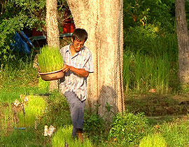 ตุ๊หล่าง แก่นคำหล้า พิลาน้อย