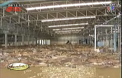 น้ำท่วม น้ำท่วม