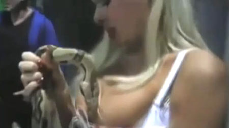 งูฉกหน้าอก