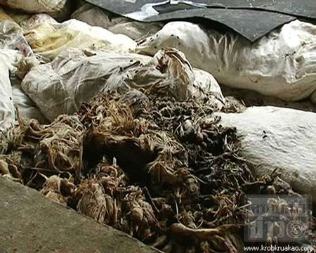 ไก่เน่า