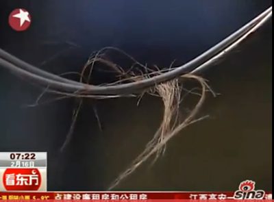 ถลกหนังสุนัข