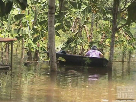 น้ำท่วม