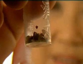 ท้าพิสูจน์! เสกน้ำมนต์เป็นพระธาตุ ในวู้ดดี้เกิดมาคุย