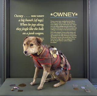 โอนนี่ owney
