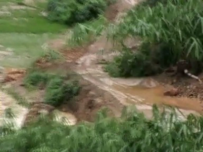 พิษนกเตน! เชียงราย-เชียงใหม่ แพร่ อ่วม