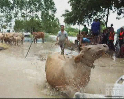 นํ้าท่วมลพบุรี2554 นํ้าท่วมลพบุรี2554