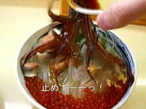 ซาชิมิ เมนูมีชีวิตสุดสยองจากญี่ปุ่น ซาชิมิ เมนูมีชีวิตสุดสยองจากญี่ปุ่น