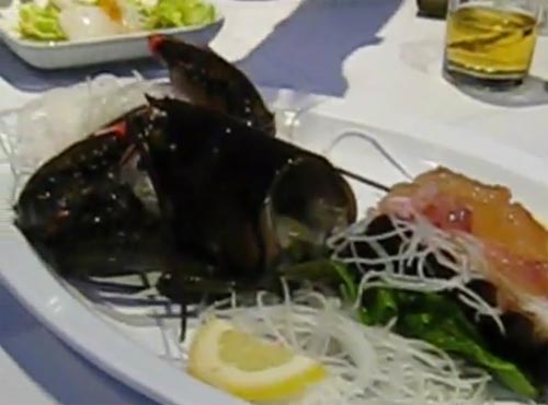 ซาชิมิ เมนูมีชีวิตสุดสยองจากญี่ปุ่น ซาชิมิ เมนูมีชีวิตสุดสยองจากญี่ปุ่น