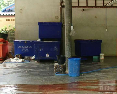 ไก่เน่า