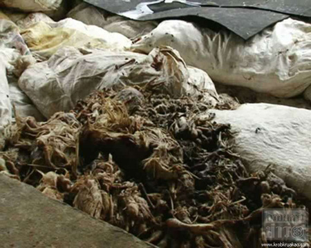 ไก่เน่า