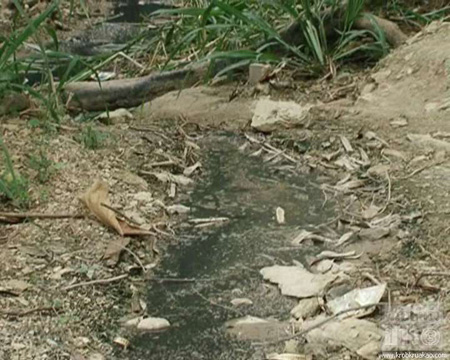 ไก่เน่า