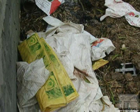 ไก่เน่า