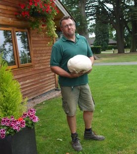 เห็ดยักษ์ เห็ดยักษ์