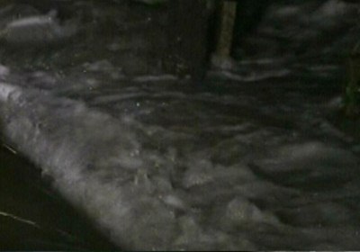 นิคมบางกะดี