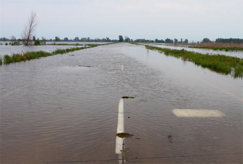 น้ำท่วม