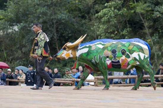 จีนจัดเทศกาลเพ้นท์ควายนานาชาติ