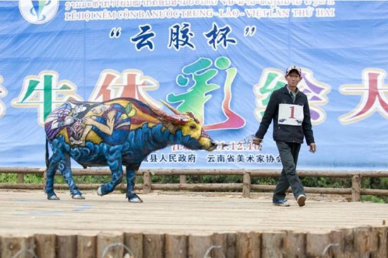 จีนจัดเทศกาลเพ้นท์ควายนานาชาติ