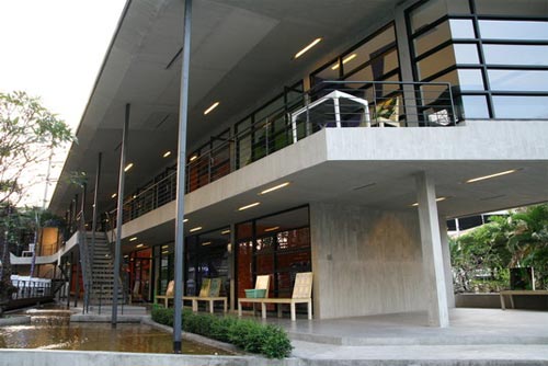 ใบไม้ร่าเริง ใบไม้ร่าเริง