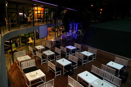 ใบไม้ร่าเริง ใบไม้ร่าเริง