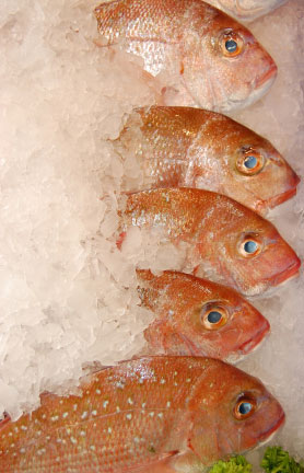 เคล็ดลับ ทอดปลา