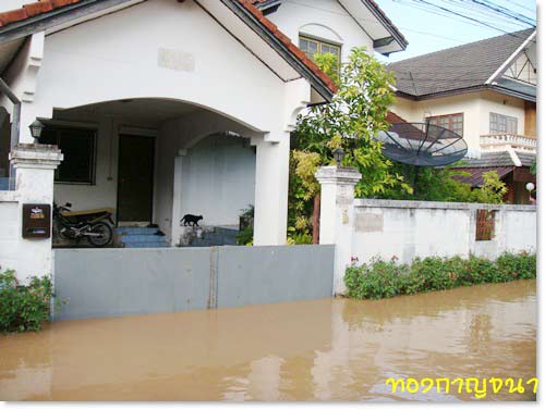 ข่าวน้ำท่วม