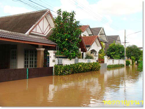 ข่าวน้ำท่วม