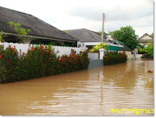 ข่าวน้ำท่วม