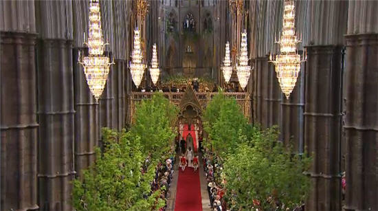 เกาะติด เจ้าชายวิลเลี่ยม แต่งงาน เคท มิดเดิลตัน